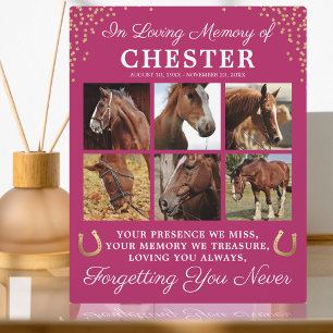 Placa Expositora Modern Pink Horse Sympathy