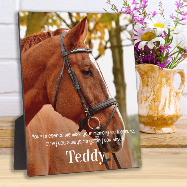 Placa Expositora Moderno Simple Foto Simpatía Recuerdo Memorial (Subido por el creador)