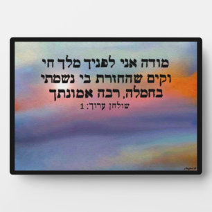 Placa Expositora Modesta Ani Sunrise Plaque Decorativo