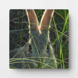 Placa Expositora Montaña Cottontail Desktop Plaque