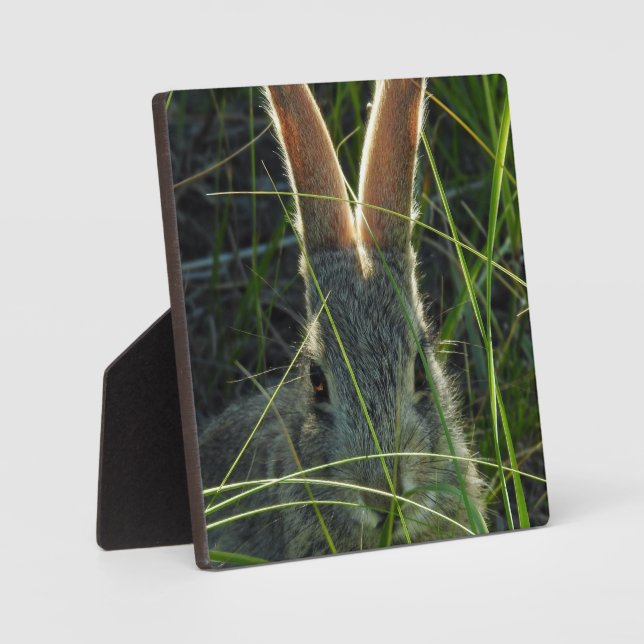 Placa Expositora Montaña Cottontail Desktop Plaque (Anverso)