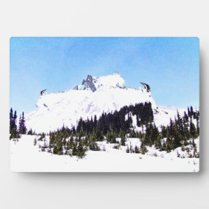 Placa Expositora Montaña de cabras