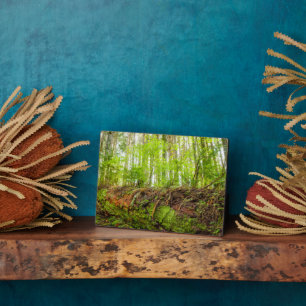 Placa Expositora Montaña Tiger   Issaquah, Estado de Washington