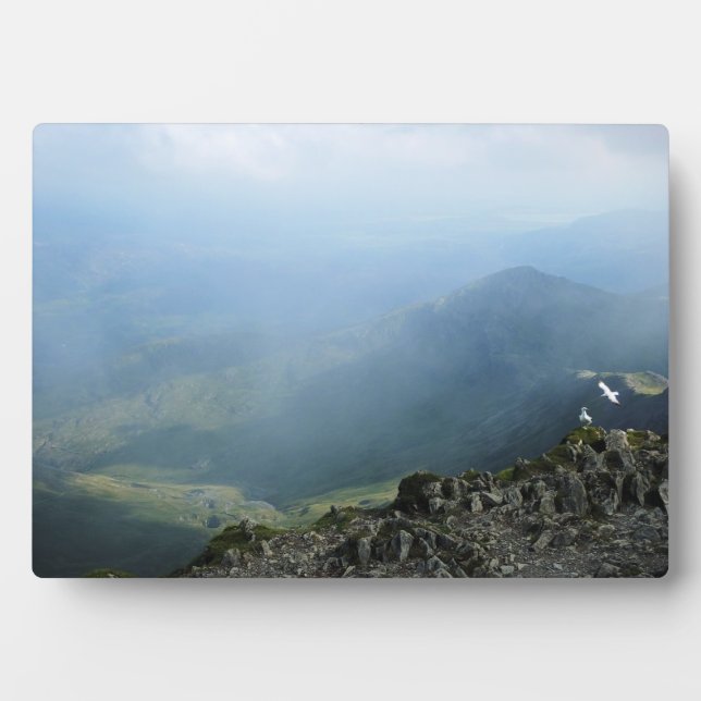 PLACA EXPOSITORA MONTAÑAS (Frente)