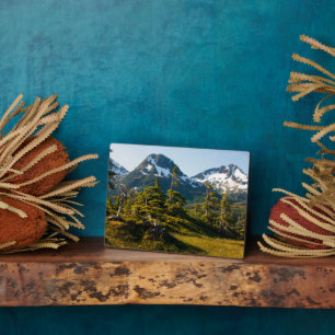 Placa Expositora Monte Eccles cerca de Córdova, Alaska