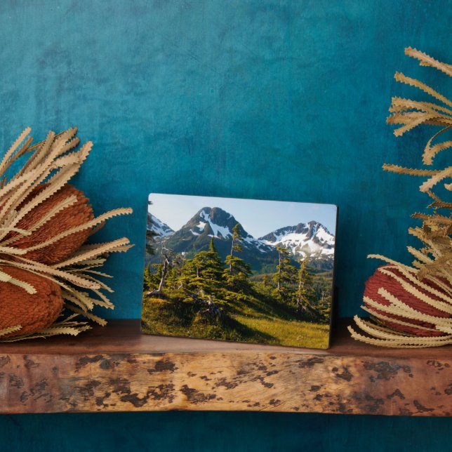 Placa Expositora Monte Eccles cerca de Córdova, Alaska (Lado)