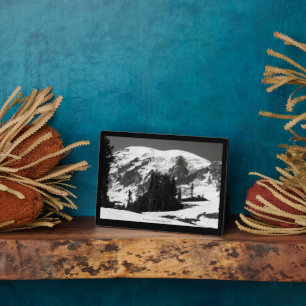 Placa Expositora Monte Rainier en junio