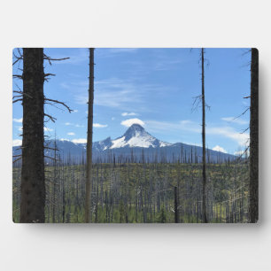 Placa Expositora Monte Washington, O