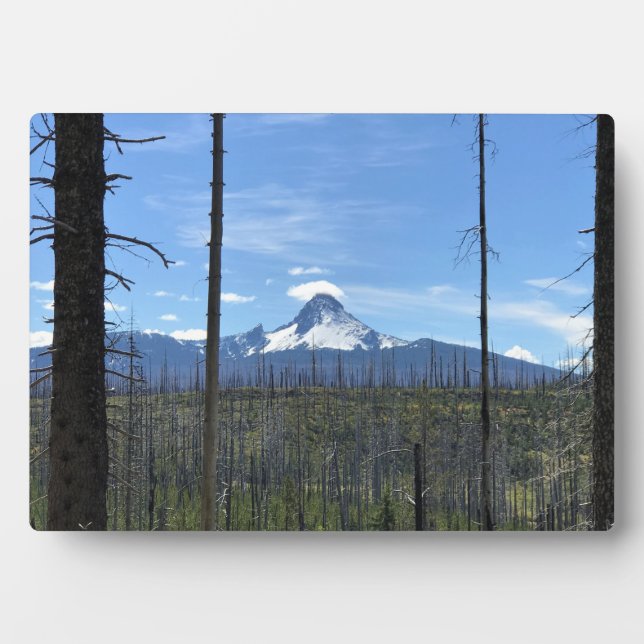 Placa Expositora Monte Washington, O (Frente)