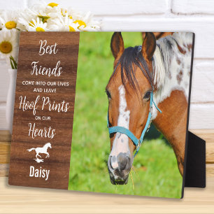 Placa Expositora Monumento a Caballo Keepsake de la Madera Rusa