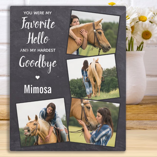 Placa Expositora Monumento a los Caballos 4 Collage de fotos (Subido por el creador)