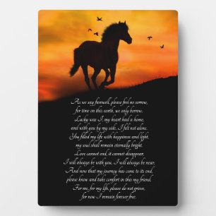 Placa Expositora Monumento a los caballos con poema