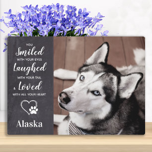 Placa Expositora Monumento a los mascotas - Monumento conmemorativo