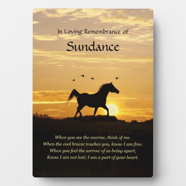 Placa Expositora Monumento a los nombres de los caballos personaliz (Frente)