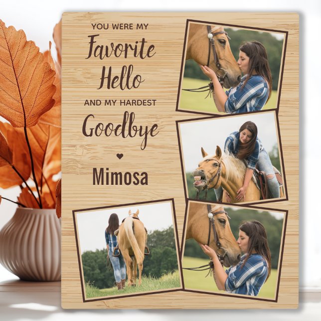 Placa Expositora Monumento al Caballo 4 Foto (Subido por el creador)