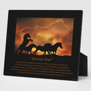 Placa Expositora Monumento al caballo con poema espiritual