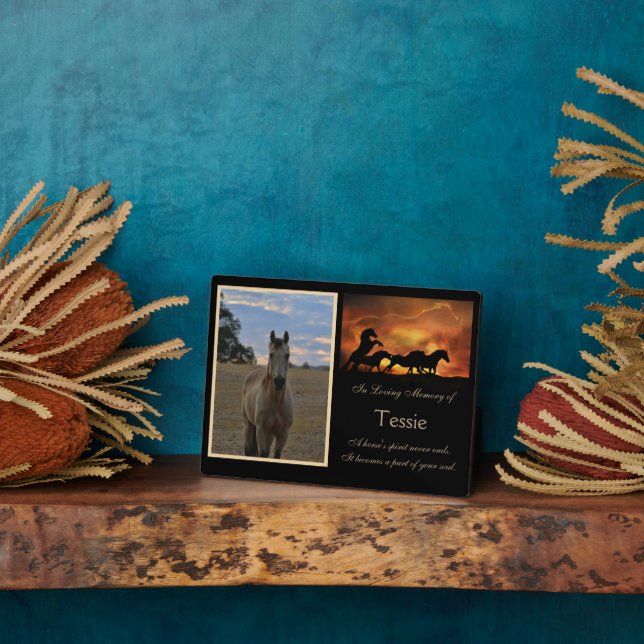 Placa Expositora Monumento al Caballo Personalizado Foto Nombre esp (Lado)