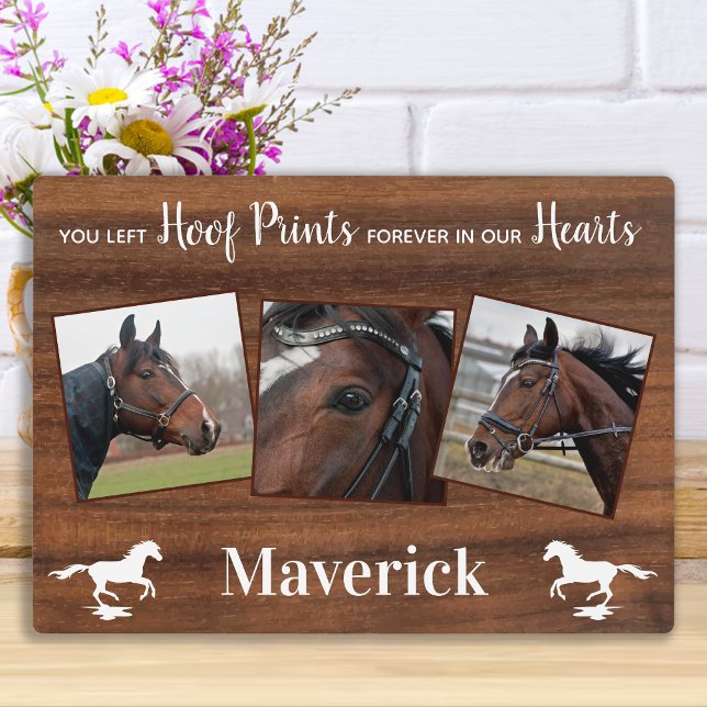 Placa Expositora Monumento al Caballo Rústico (Subido por el creador)