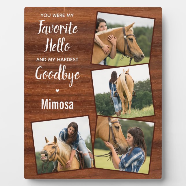 Placa Expositora Monumento al Caballo Rústico 4 Foto (Frente)