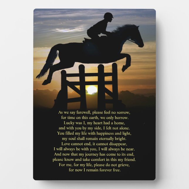 Placa Expositora Monumento al Caballo y al Jinete (Frente)