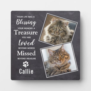 Placa Expositora Monumento al gato mascota
