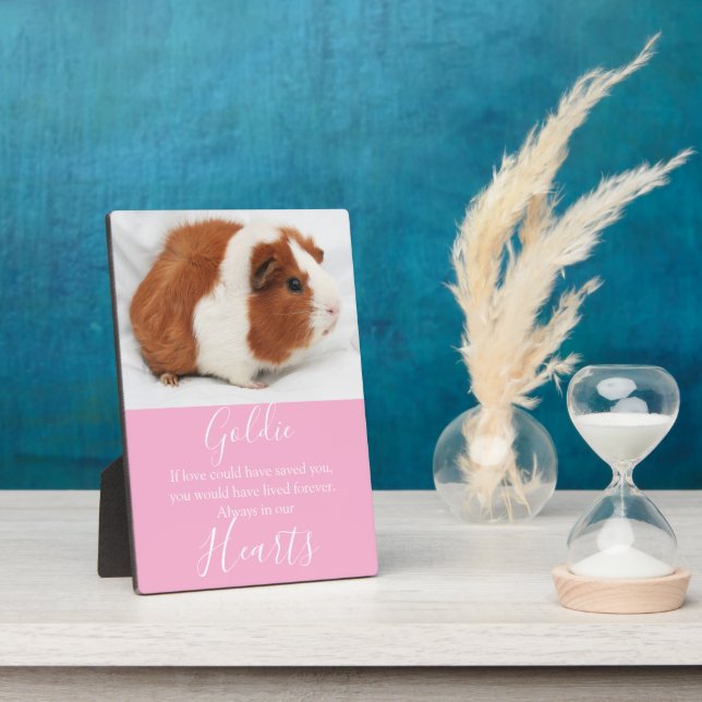 Placa Expositora Monumento al Mascota Cute (Lado)