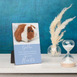 Placa Expositora Monumento al Mascota Cute