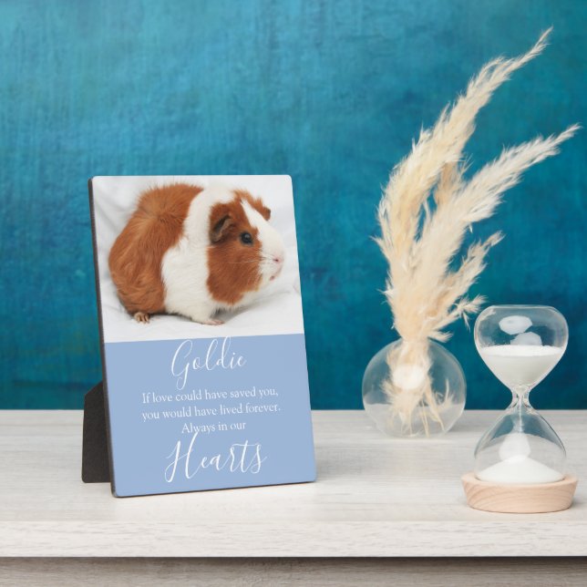 Placa Expositora Monumento al Mascota Cute (Lado)