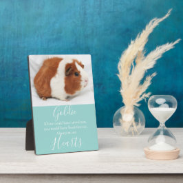 Placa Expositora Monumento al Mascota Cute