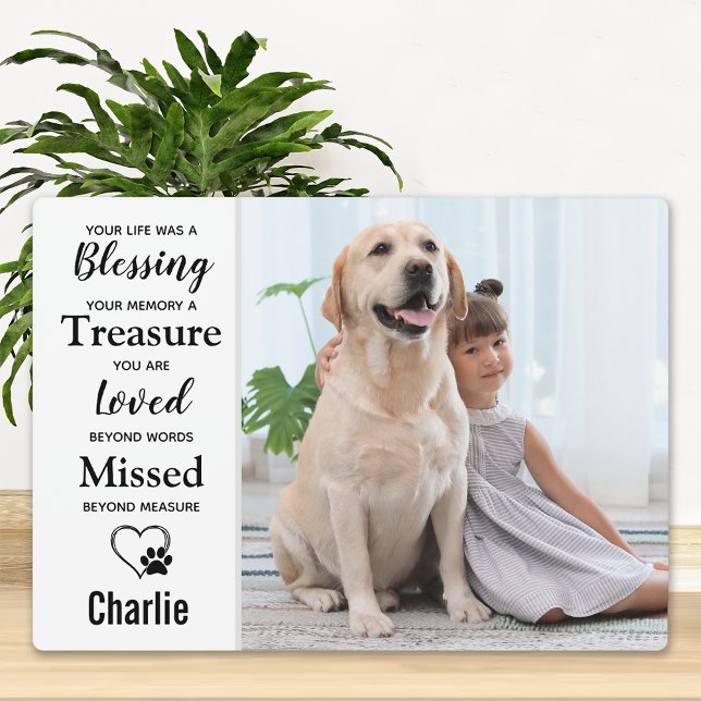 Placa Expositora Monumento al Mascota fotográfico personalizado (Subido por el creador)