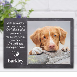 Placa Expositora Monumento al Mascota personalizado - Regalo por pé