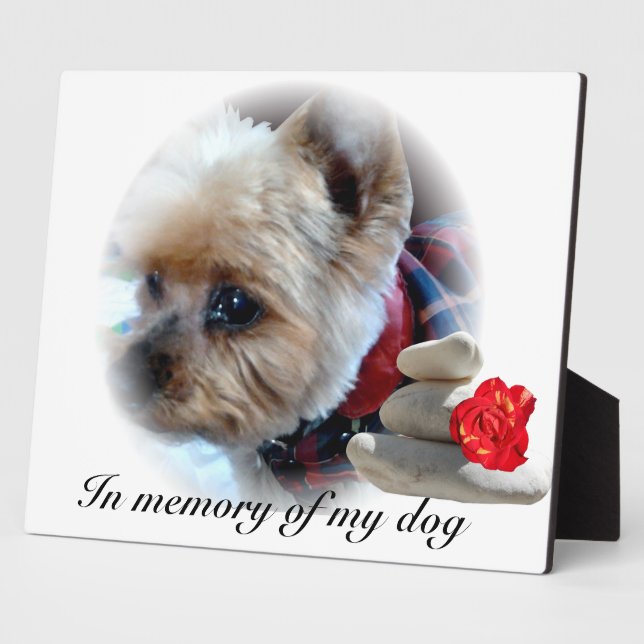 Placa Expositora monumento conmemorativo (Lado)