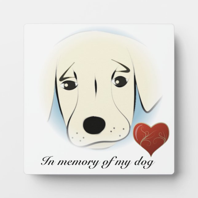 Placa Expositora monumento conmemorativo (Frente)