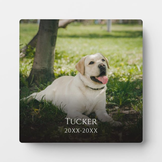 Placa Expositora Monumento conmemorativo al Personalizado fotográfi (Frente)