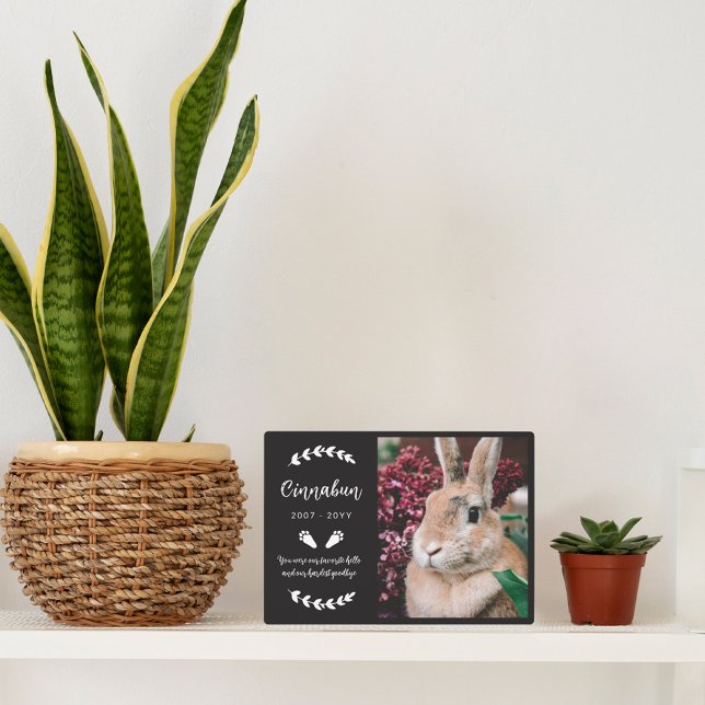 Placa Expositora Monumento conmemorativo de Conejo de Fotografías d (Subido por el creador)