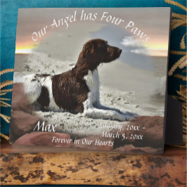 Placa Expositora Monumento conmemorativo de mascotas Waves and Boul