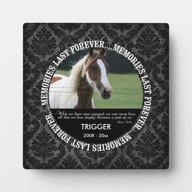 Placa Expositora Monumento conmemorativo - Pérdida de caballo - Fot (Frente)