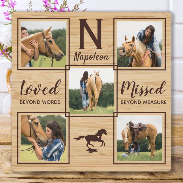 Placa Expositora Monumento Ecuestre Foto Única (Subido por el creador)