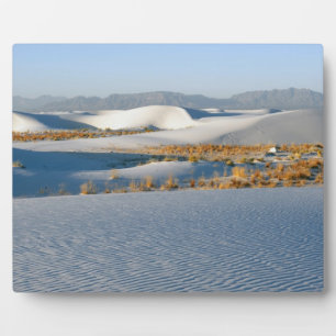 Placa Expositora Monumento Nacional White Sands, Dunas Transversale