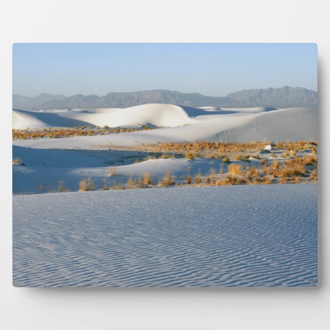 Placa Expositora Monumento Nacional White Sands, Dunas Transversale (Frente)