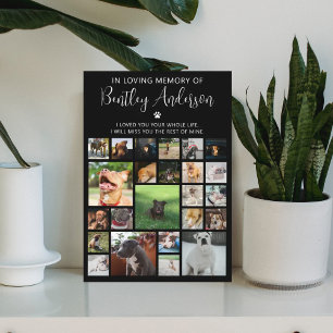 Placa Expositora Monumento personalizado a 24 Mascotas de fotografí