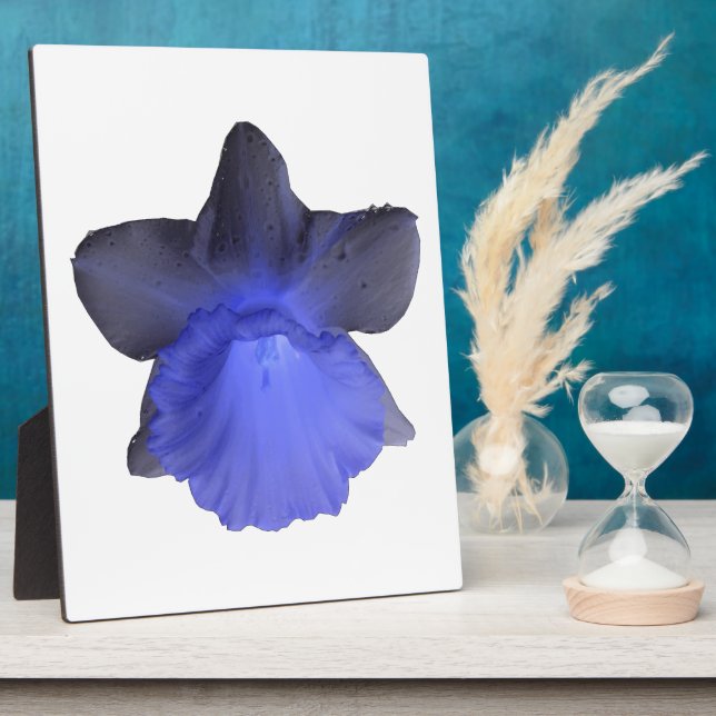 Placa Expositora Moody Blue Drin Daffodil Plaque (Lado)