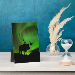 Placa Expositora Moose con Green Aurora Borealis, Alaska