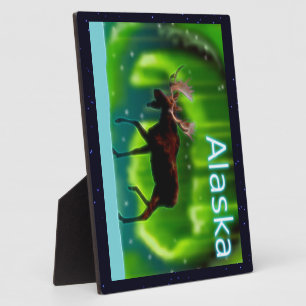 Placa Expositora Moose de las luces del norte