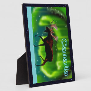 Placa Expositora Moose de las luces del norte