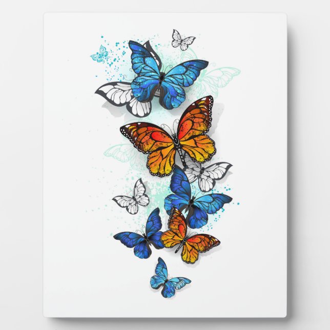 Placa Expositora Morfo y monarca de las mariposas voladoras (Frente)