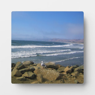 Placa Expositora Morro Bay, California