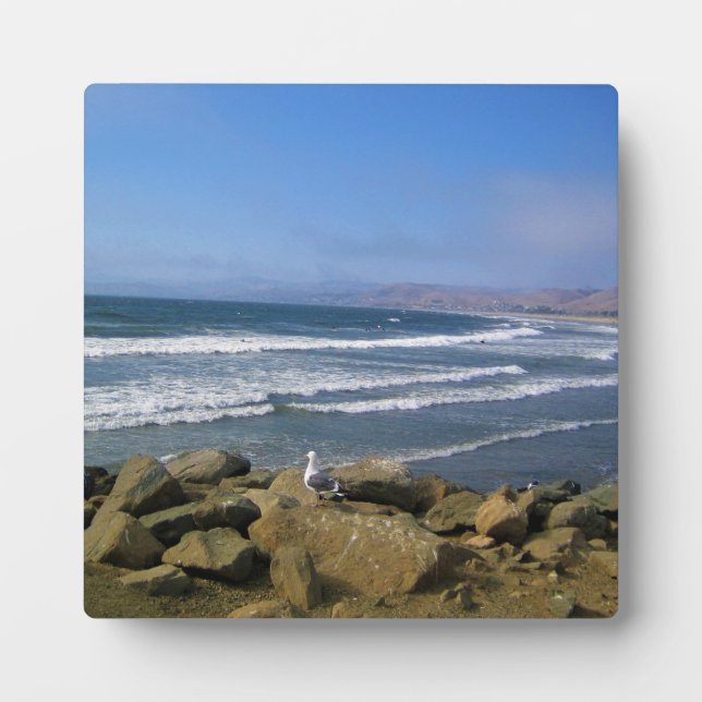Placa Expositora Morro Bay, California (Frente)