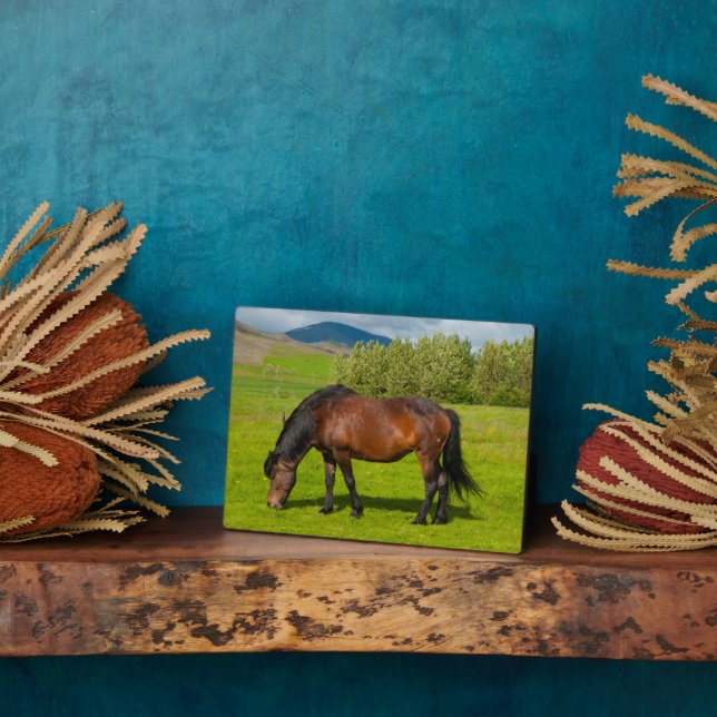 Placa Expositora Mossfellsbaer Icelandic Horse (Lado)