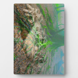 Placa Expositora Mossy Frog